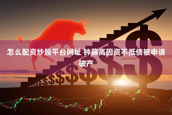 怎么配资炒股平台网址 钟薛高因资不抵债被申请破产