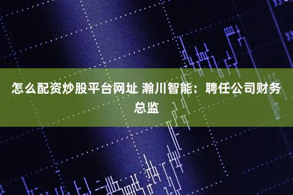 怎么配资炒股平台网址 瀚川智能：聘任公司财务总监