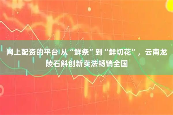 网上配资的平台 从“鲜条”到“鲜切花”，云南龙陵石斛创新卖法畅销全国